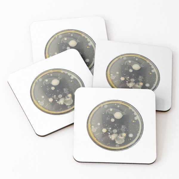 Item preview, White and Yellow bacteria on PC agar plate designed and sold by Fromthelab.