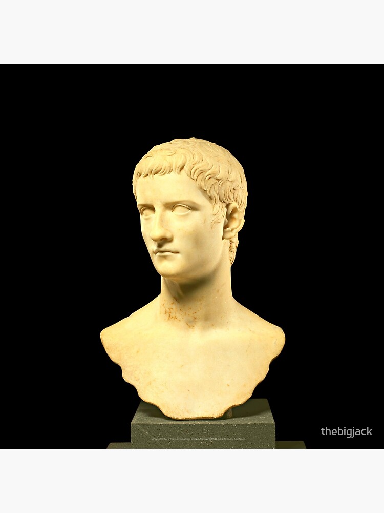 "Marble portrait bust of the emperor Gaius, known as Caligula.This