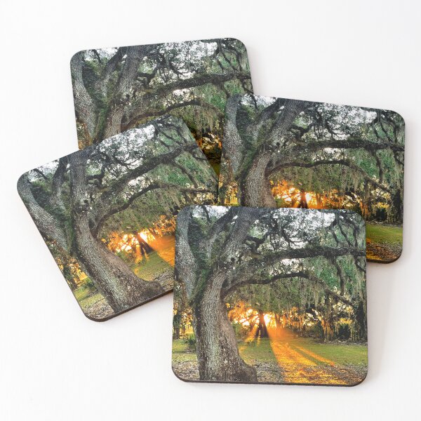 Item preview, A Morning In Moss designed and sold by Jason Tompkins.