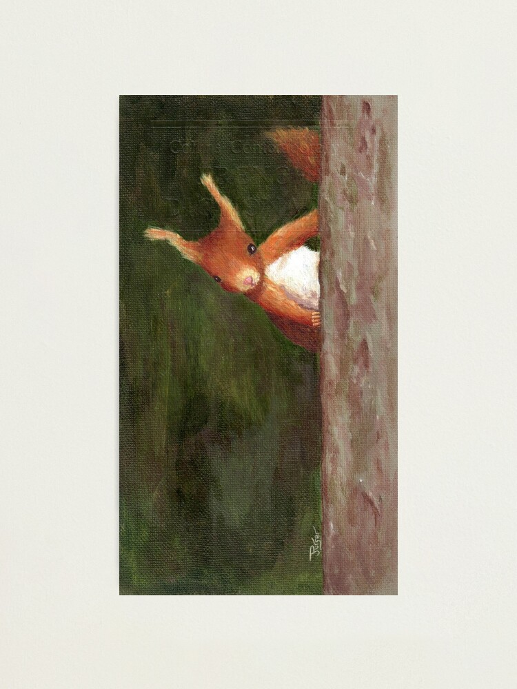 Alternate view of Terry the Squirrel Photographic Print