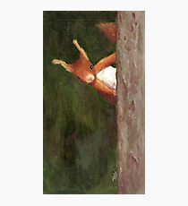 Terry the Squirrel Photographic Print