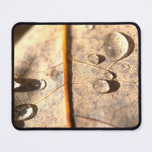 Item preview, Leafdrops designed and sold by Jason Tompkins.