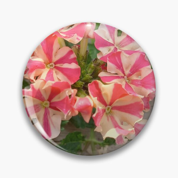 Item preview, Nature: Pink and White Flower Wooden Background designed and sold by TaraTs.
