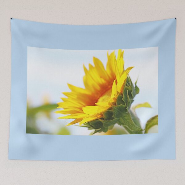 Item preview, Staring Into The Sun I designed and sold by Deb Oppermann.