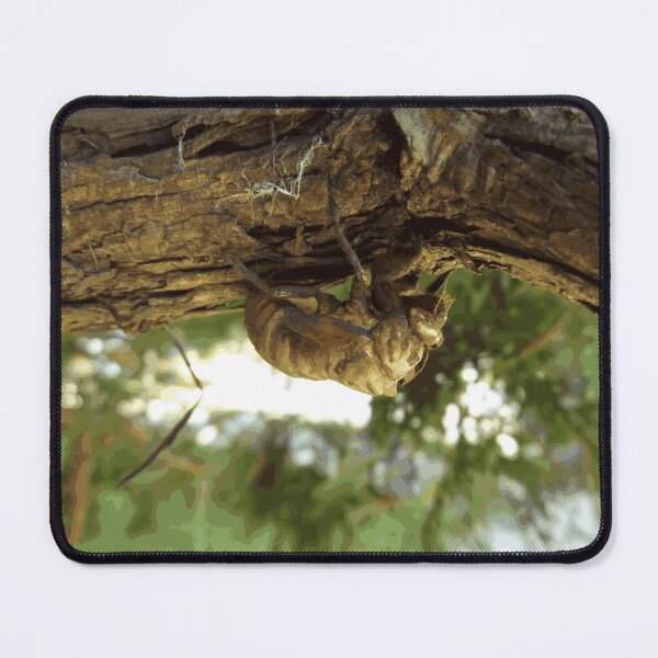 Item preview, Cicada shell. It was in a hurry. designed and sold by someartworker.