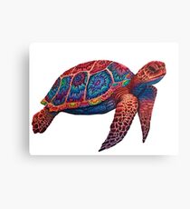 Hand-drawn Colorful Sea Turtle Canvas Print