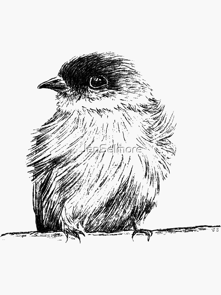 Petit oiseau oiseau noir et blanc illustration Sticker