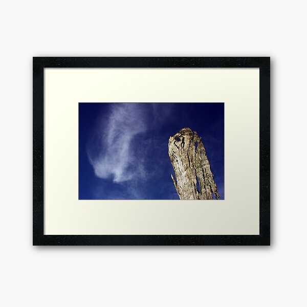 Too Little Too Late Framed Art Print