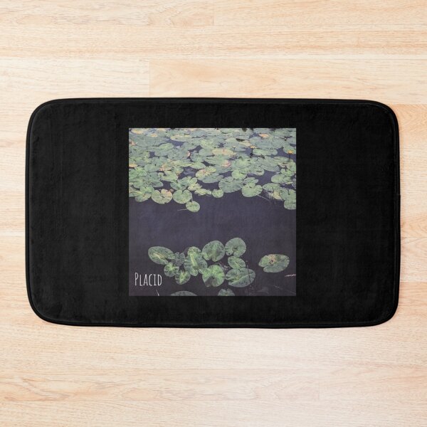 Item preview, Placid Album Artwork Design Lightweight Hoodie designed and sold by laleibimsonm.