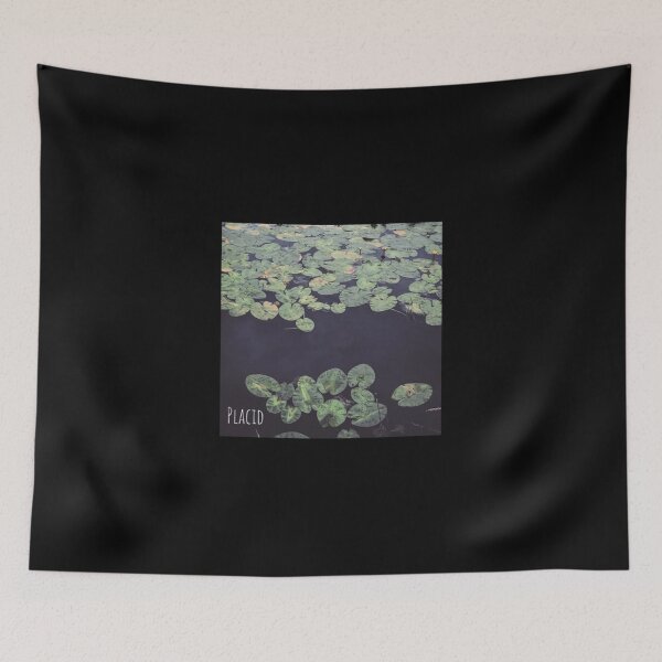 Item preview, Placid Album Artwork Design Lightweight Hoodie designed and sold by laleibimsonm.