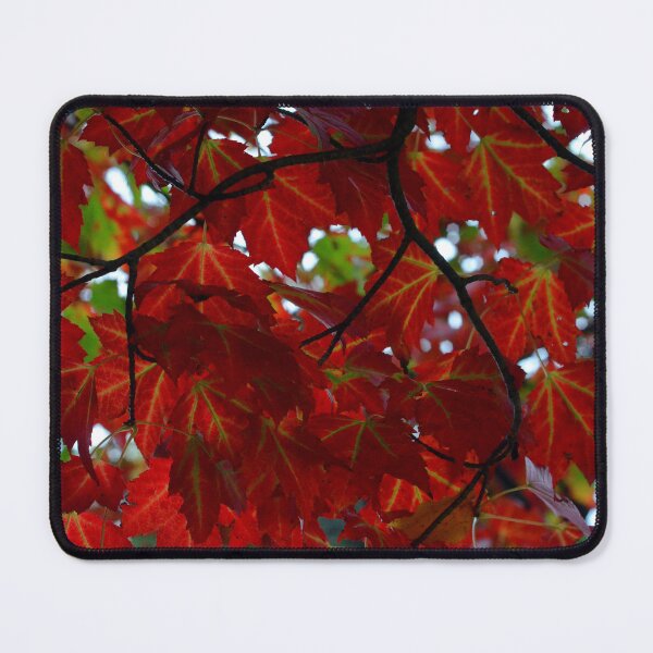 Artikelvorschau, Maple Leaves entworfen und verkauft von kry.ative.