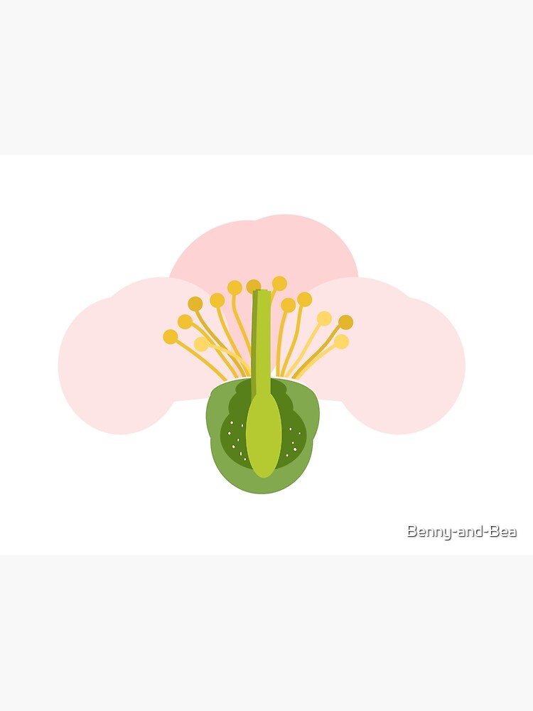 "Apple Blossom Diagram" Poster for Sale by BennyandBea Redbubble