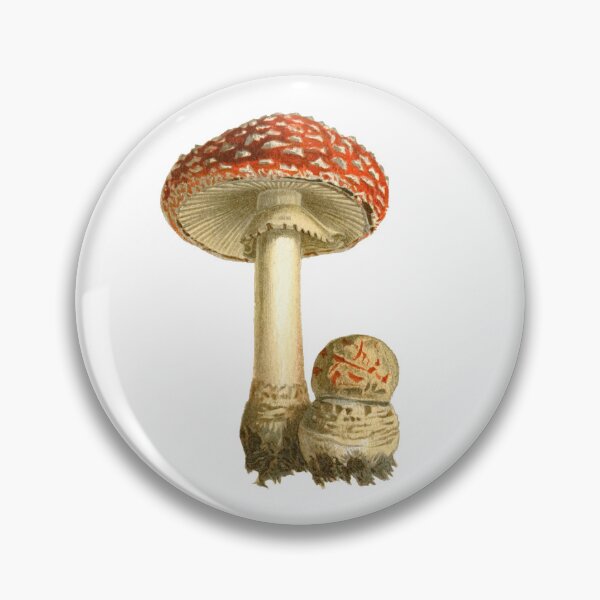 Item preview, Vintage Mushrooms designed and sold by MaverickAtlas.