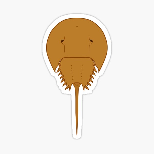 Item preview, Horseshoe Crab (Vertical) designed and sold by havensea.
