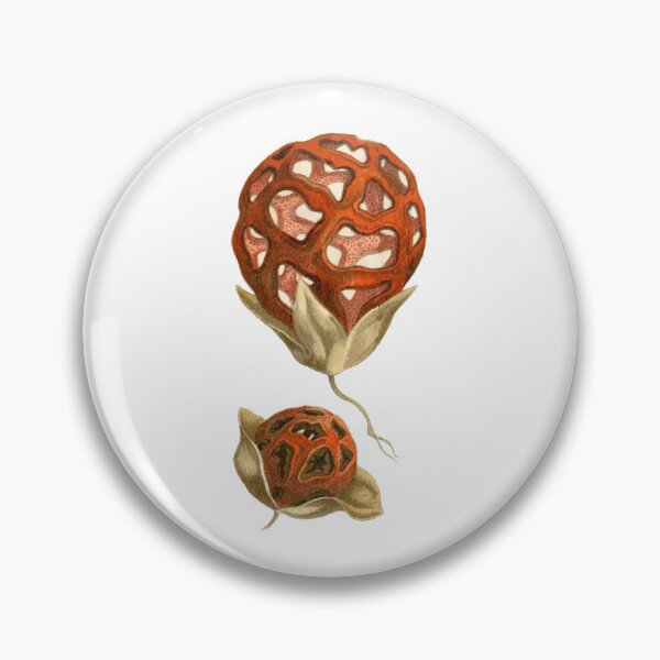Item preview, Vintage Mushrooms designed and sold by MaverickAtlas.