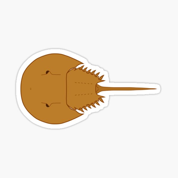 Item preview, Horseshoe Crab (Horizontal) designed and sold by havensea.