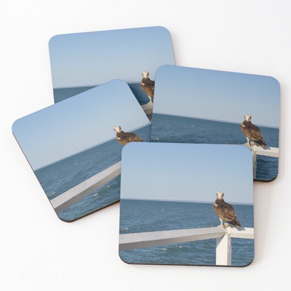 Item preview, Hervey Bay ocean eagle designed and sold by Dominique Tassell.