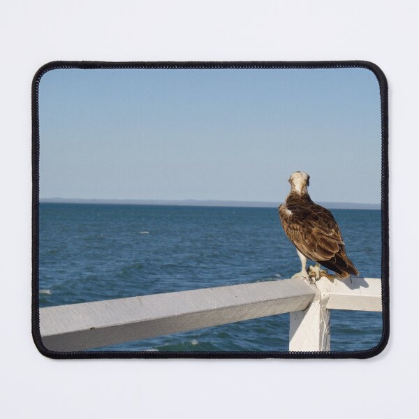 Item preview, Hervey Bay ocean eagle designed and sold by Dominique Tassell.