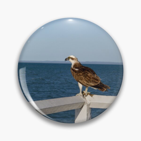 Item preview, Hervey Bay ocean eagle designed and sold by Dominique Tassell.