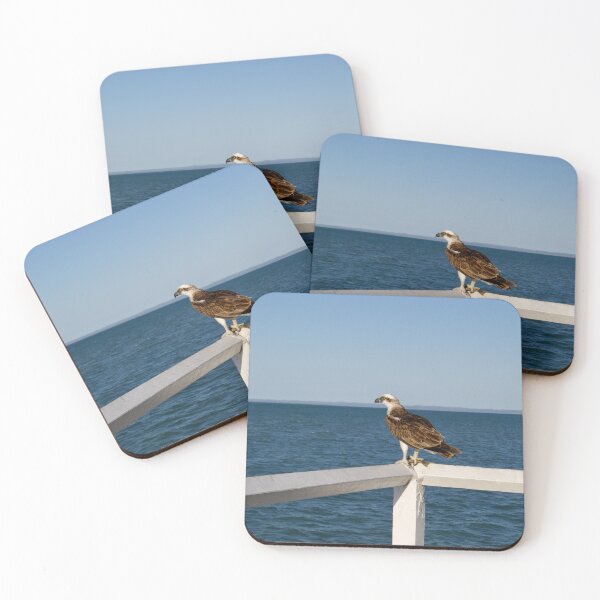 Item preview, Hervey Bay ocean eagle designed and sold by Dominique Tassell.