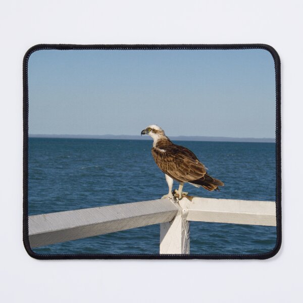 Item preview, Hervey Bay ocean eagle designed and sold by Dominique Tassell.