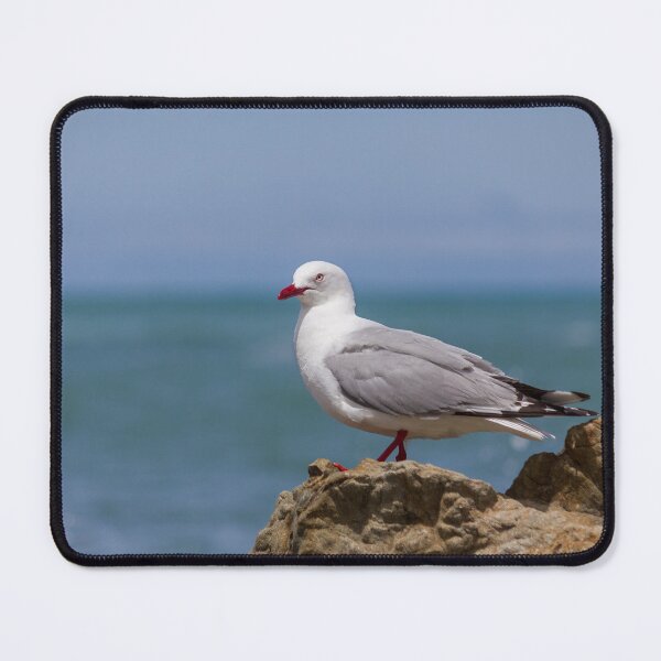Item preview, Seagull On Rock designed and sold by KarenWoodArt.