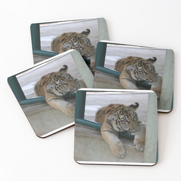 Item preview, Thai Tiger Cub designed and sold by EAtkinsonArt.