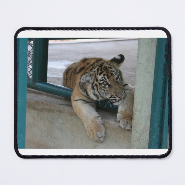 Item preview, Thai Tiger Cub designed and sold by EAtkinsonArt.