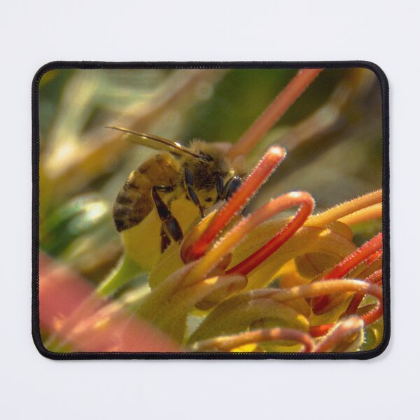 Item preview, Bee-utiful designed and sold by Steven Jodoin.