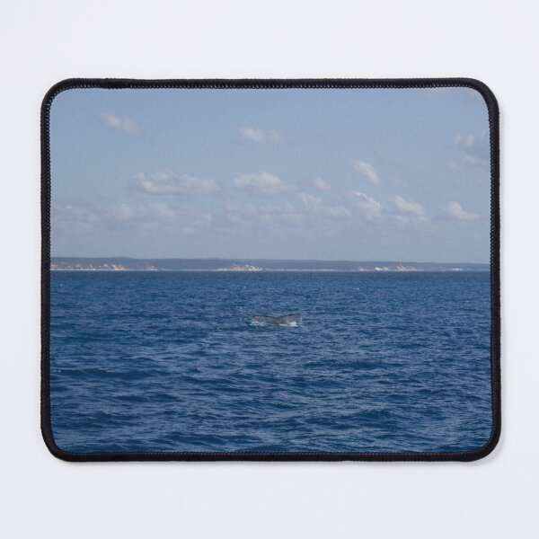Item preview, Whale watching at Hervey Bay designed and sold by Dominique Tassell.