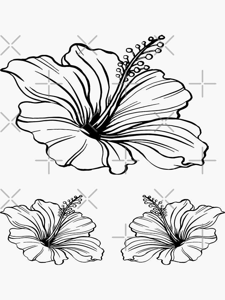"Hibiscus Black and White Stickers" Sticker for Sale by calibrit Redbubble