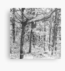 2012_20 Metal Print