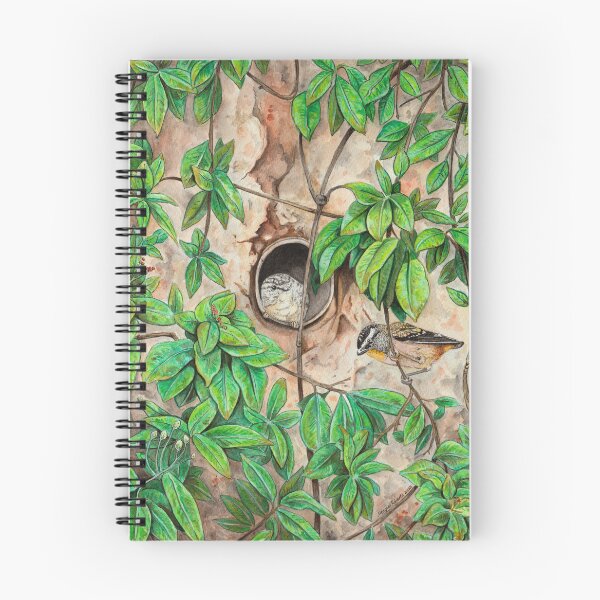 Artikelvorschau, Gefleckte Pardalotes entworfen und verkauft von Meaghan Roberts.