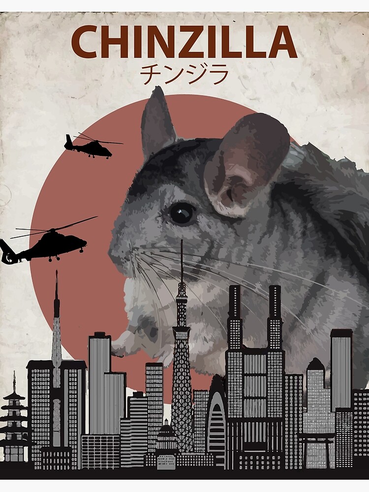 Chinzilla - Giant Chinchilla Monster