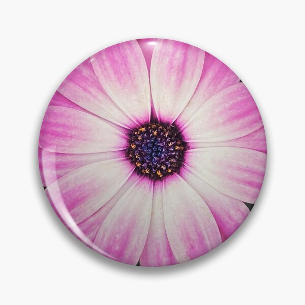 Item preview, Osteospermum designed and sold by Darren Stones.
