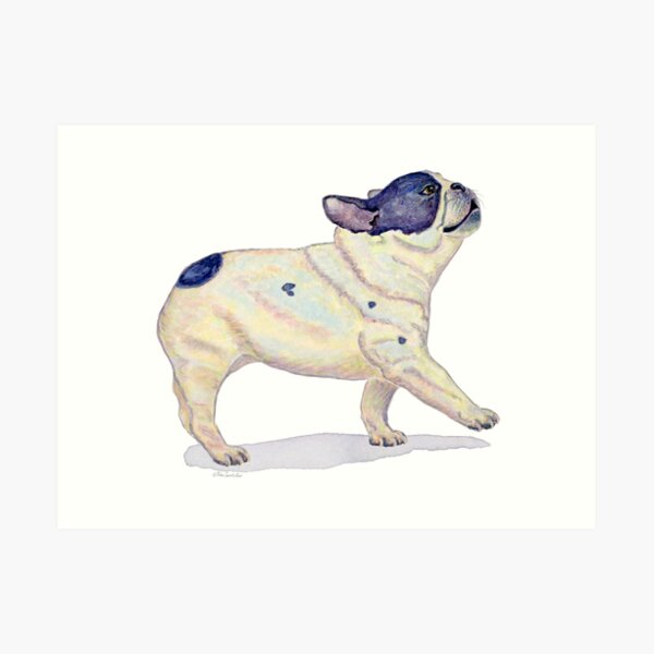 French Bulldog, Black and White, French Bull Dog, Watercolor Painting Art Print