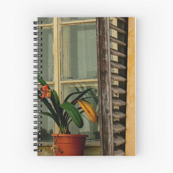 Item preview, Yellow Window with Flowers Photography designed and sold by Inspirely.