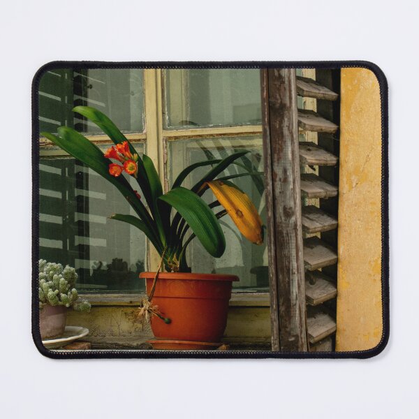 Item preview, Yellow Window with Flowers Photography designed and sold by Inspirely.