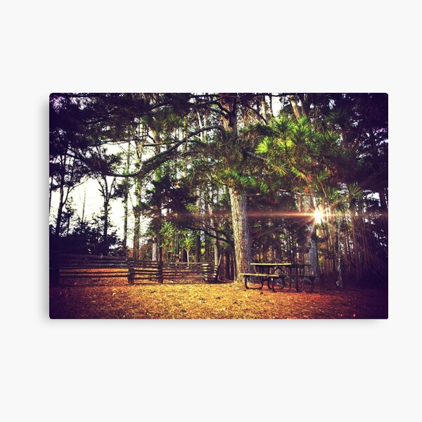 Item preview, Picnic Table at the Park designed and sold by Jonicool.