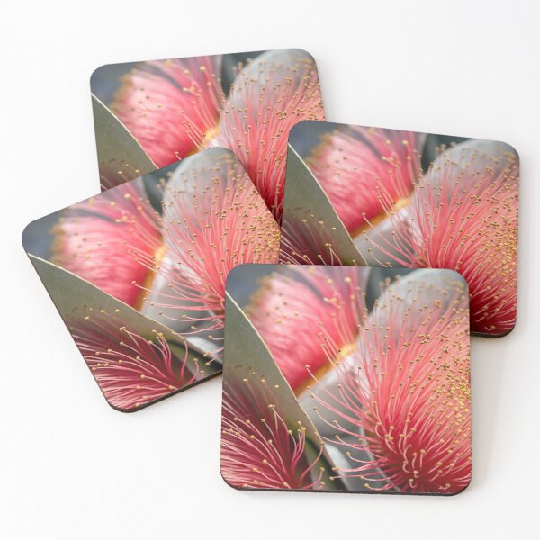 Item preview, Macrocarpa Magic  designed and sold by SallyB.Photography.