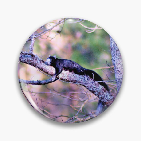 Item preview, Fox Squirrel Ready To Give Birth designed and sold by What I See by Dawne.