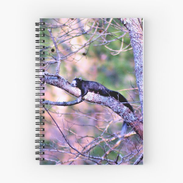 Item preview, Fox Squirrel Ready To Give Birth designed and sold by What I See by Dawne.