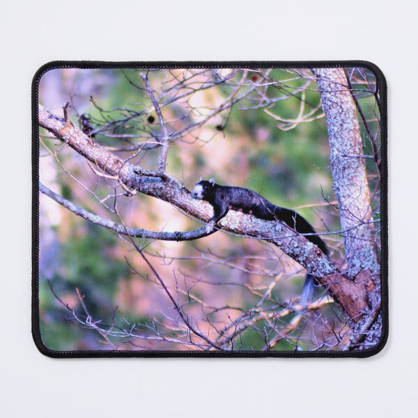 Item preview, Fox Squirrel Ready To Give Birth designed and sold by What I See by Dawne.