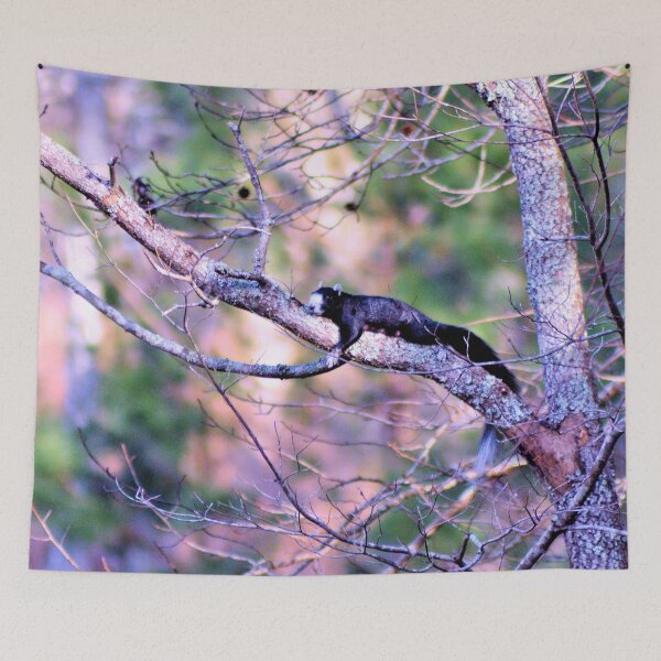 Item preview, Fox Squirrel Ready To Give Birth designed and sold by What I See by Dawne.