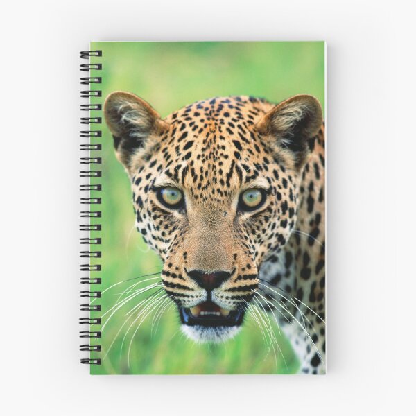 Item preview, Close up of the face of a Leopard designed and sold by ArdeaOnline.