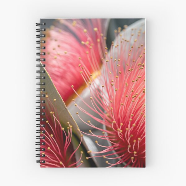 Item preview, Macrocarpa Magic  designed and sold by SallyB.Photography.