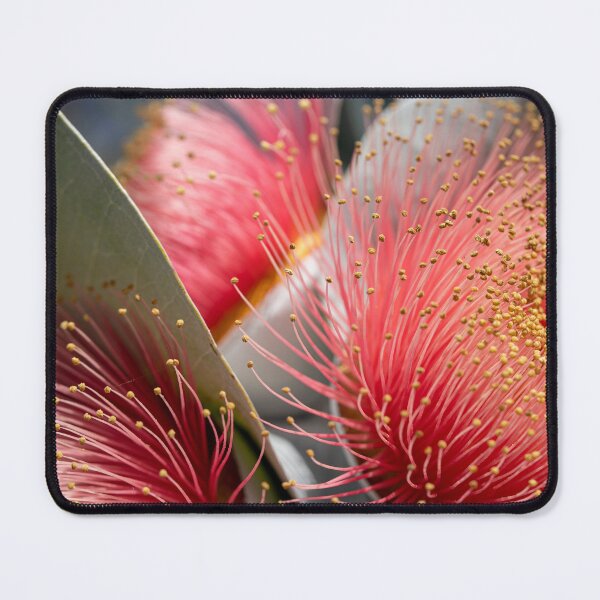Item preview, Macrocarpa Magic designed and sold by SallyB.Photography.