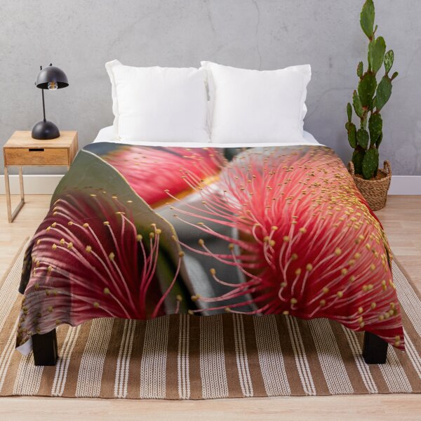 Item preview, Macrocarpa Magic  designed and sold by SallyB.Photography.