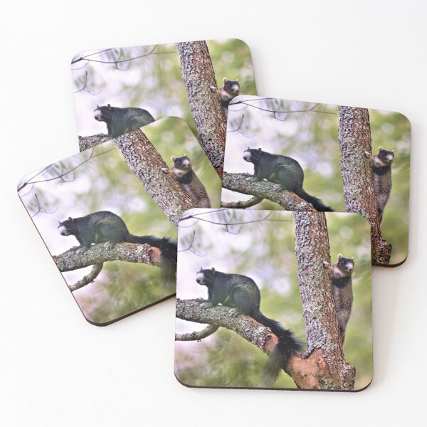 Item preview, Fox Squirrel Couple designed and sold by What I See by Dawne.