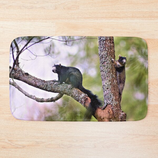 Item preview, Fox Squirrel Couple designed and sold by What I See by Dawne.